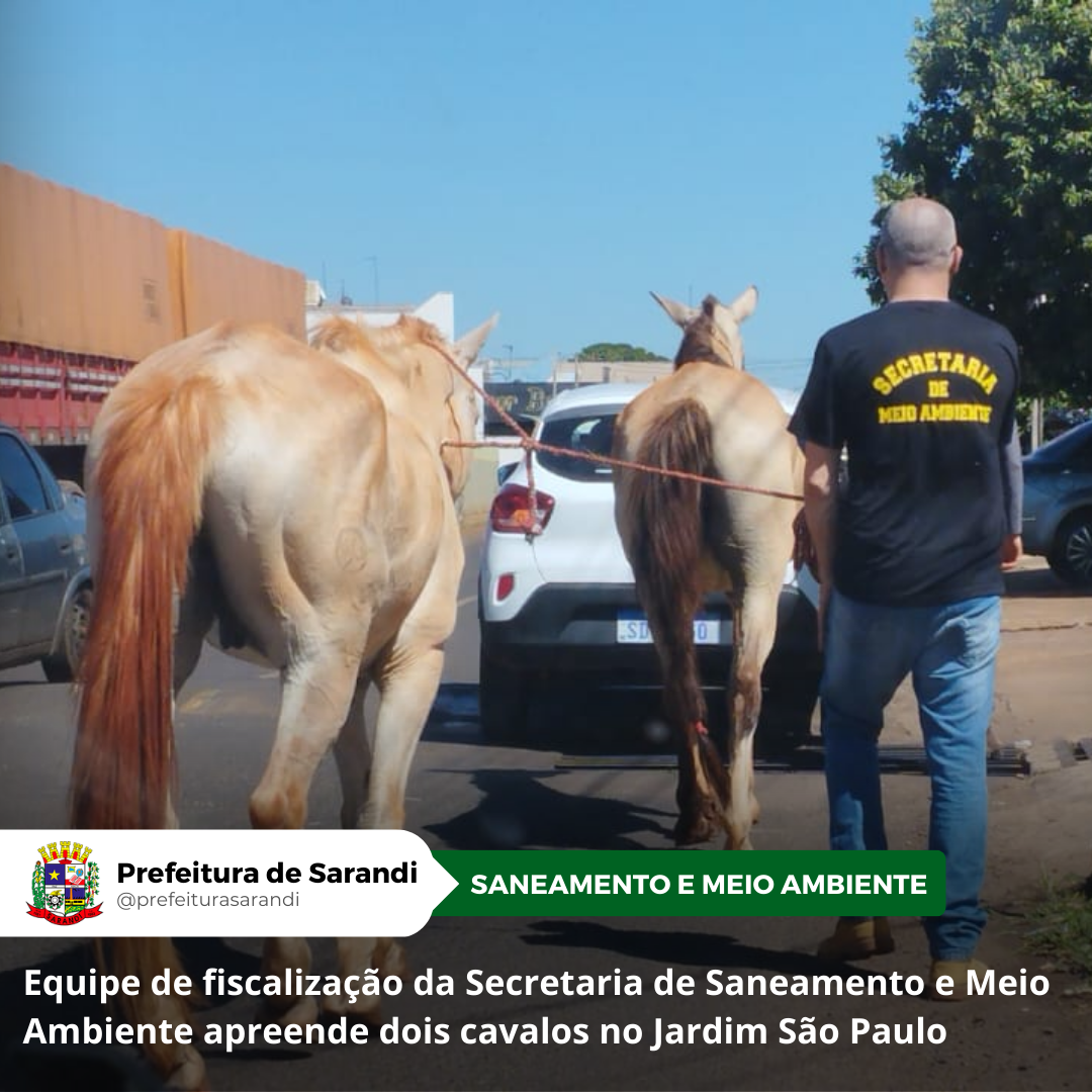 Equipe de fiscalização da Secretaria de Saneamento e Meio Ambiente apreende dois cavalos no Jardim São Paulo